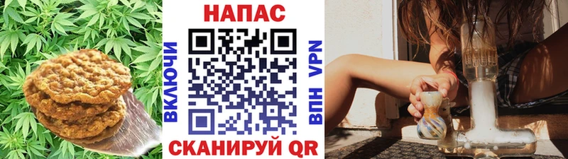 Cannafood конопля  купить наркотики цена  Абаза 