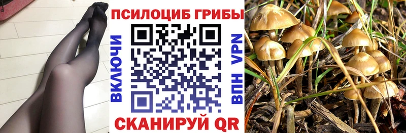 наркотики  Абаза  omg зеркало  Псилоцибиновые грибы прущие грибы 